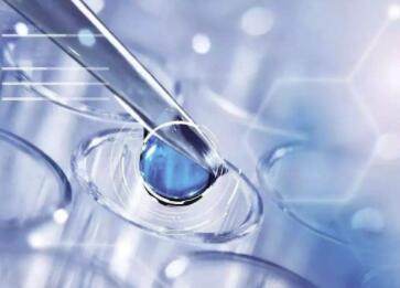 甜言科技 让每一口都充满智慧的滋味